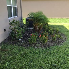 Bush Trimming by Lawn Standards reviewed on August 15, 2025