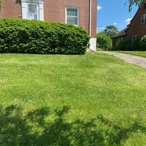 landscape maintenance by Robbie Laubenstein reviewed on August 17, 2025