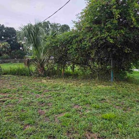 Bush Trimming by Eric's Lawn Care reviewed on October 24, 2025