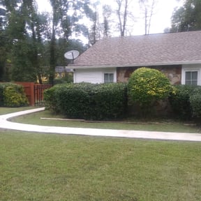 Bush Trimming by Galilee landscaping reviewed on August 17, 2025