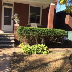 Bush Trimming by LIGHTNING LANDSCAPING &amp; LAND MANAGEMENT reviewed on August 21, 2025