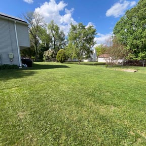 yard service by B&SS reviewed on August 21, 2025