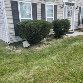 Bush Trimming by Much Obliged Lawn Care reviewed on August 20, 2025