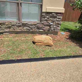 Flower Bed Weeding by Meaux King reviewed on July 5, 2026