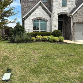 Bush Trimming by The leaf village reviewed on February 5, 2026