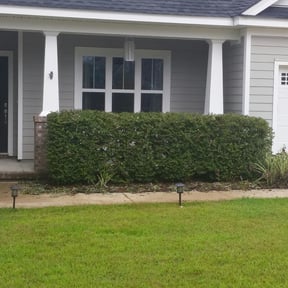 Bush Trimming by Earth Lawn Care LLC reviewed on August 17, 2025