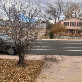 Bush Trimming by Precision Lawncare reviewed on November 18, 2025