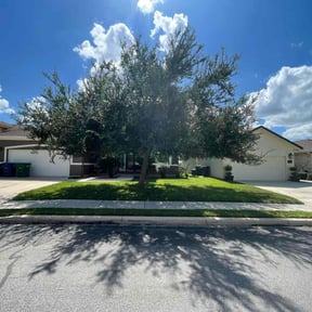 yard service by Elston Lawn Care reviewed on August 18, 2025