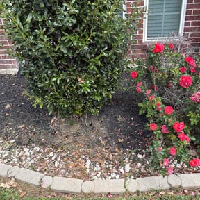 Flower Bed Weeding by Sweet Dreams Lawncare services reviewed on March 31, 2026
