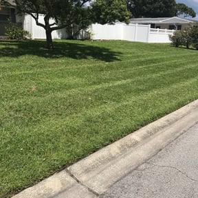 yard maintenance by First Due General Services LLC reviewed on August 20, 2025