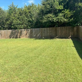 landscaping services by CTRL SPC LLC reviewed on August 16, 2025
