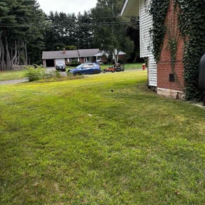 Leaf Removal by Taylor lawn care reviewed on September 21, 2025