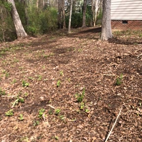 Leaf Removal by Mid-Atlantic Home Maintenance reviewed on September 30, 2025