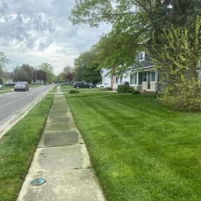 Long Grass Cleanup by Scarlet and gray Lawn Care Management LLC reviewed on August 13, 2025