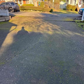 Leaf Removal by Gs lawn care reviewed on September 28, 2025