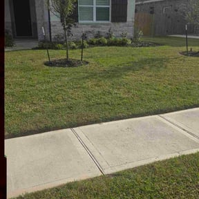 Flower Bed Weeding by Vegas Lawn Guru reviewed on May 16, 2025