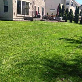 yard work by Fine Lines Landscaping reviewed on November 27, 2025