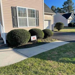 Bush Trimming by Munz Outdoor Solutions LLC reviewed on December 1, 2025