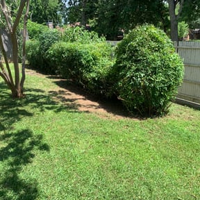 Bush Trimming by Brothers Martinez reviewed on August 20, 2025