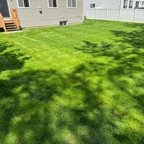 landscaping by Ort'z VIP Landscaping reviewed on August 21, 2025