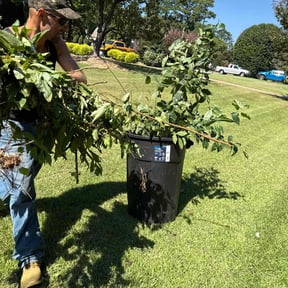 Flower Bed Weeding by Cari Lawn Care reviewed on October 18, 2025
