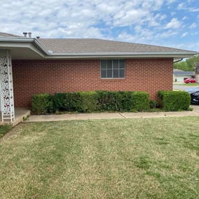 Bush Trimming by amazing r&r landscaping reviewed on August 20, 2025