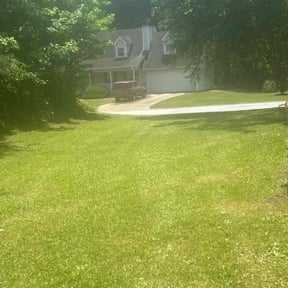 grass maintenance by Cari lawn care reviewed on April 30, 2024