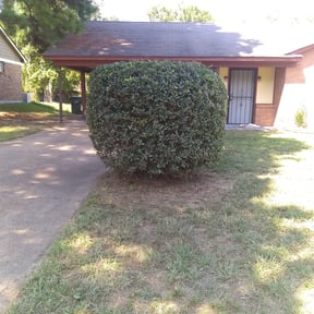 Bush Trimming by Man I cured Lawn Service reviewed on August 17, 2025