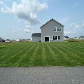 turf maintenance by Mr. Mower reviewed on August 19, 2025