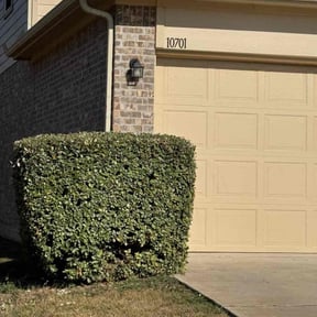 Bush Trimming by Bear Care Lawncare reviewed on December 30, 2025