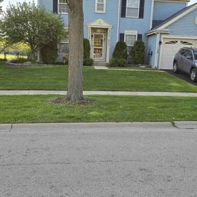 yard service by LEL landscape reviewed on August 18, 2025