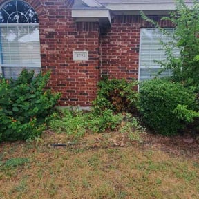 Flower Bed Weeding by Browns Lawn Care & Landscape reviewed on August 17, 2025