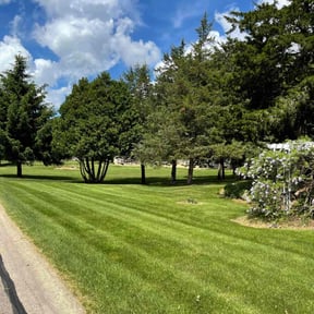 yard maintenance by Binyard Consulting reviewed on August 15, 2025