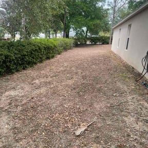 Leaf Removal by We Mow Omaha reviewed on September 9, 2025