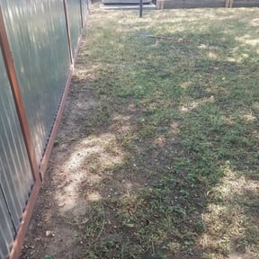 Leaf Removal by Anyway landscape reviewed on September 19, 2025