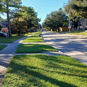 residential landscaping by Rod Lawn Service reviewed on August 17, 2025