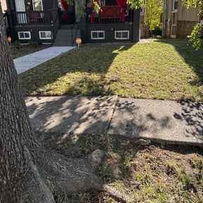 Leaf Removal by Thielshj reviewed on August 15, 2025