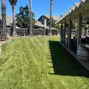turf care by Mareana Lawncare LLC reviewed on August 21, 2025