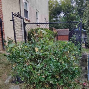 Bush Trimming by Grow Pro Lawn Care reviewed on November 21, 2025