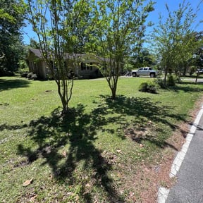 yard care by Mako Property Solutions, LLC reviewed on August 17, 2025
