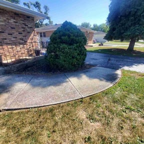 Bush Trimming by JWALL Lawn Care, LLC reviewed on November 10, 2025