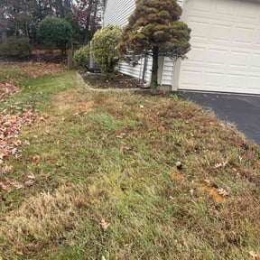 Leaf Removal by Home Care by The Beach LLC reviewed on November 19, 2025