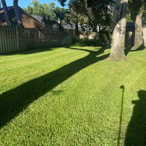 yard service by Fresh Clean Cuts LLC reviewed on August 21, 2025