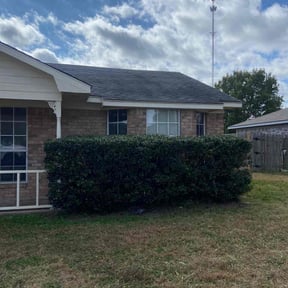 Bush Trimming by Demonta’s Lawn Maintenance reviewed on December 3, 2025