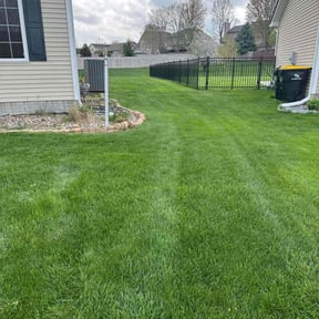 grass cutting by Lawn Mower Service reviewed on April 12, 2025