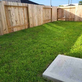 yard maintenance by First Choice Property Solutions reviewed on August 18, 2025