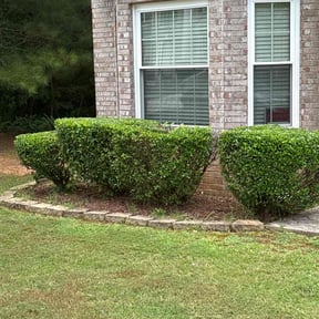 Bush Trimming by GZAG reviewed on August 21, 2025