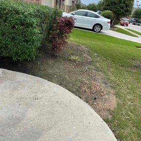 Bush Trimming by Zack and Tyler's Lawn Care reviewed on August 21, 2025