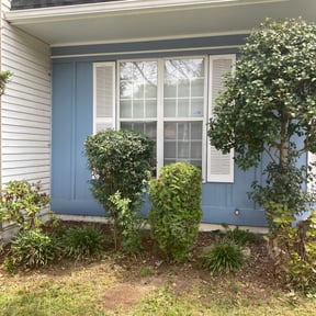 Bush Trimming by Florida LawnScapers LLC reviewed on August 18, 2025