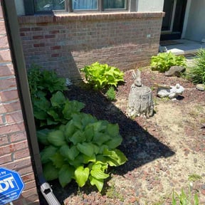 Flower Bed Weeding by Elite Services reviewed on October 24, 2025